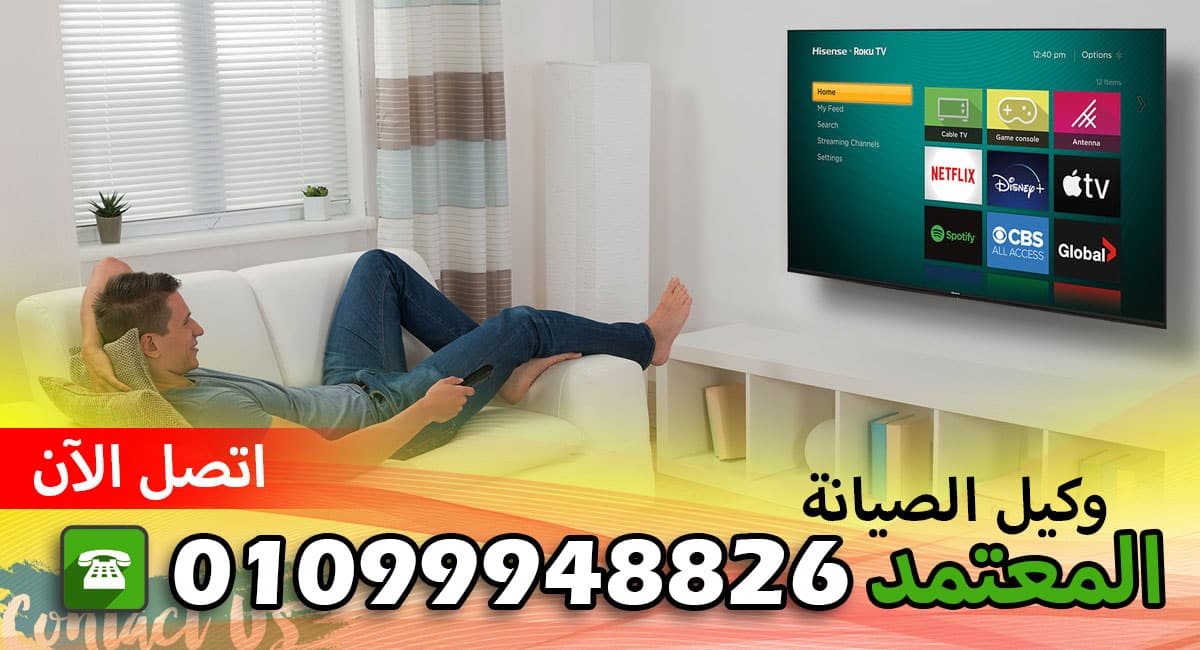 صيانة دانسات الاسكندرية ابيس